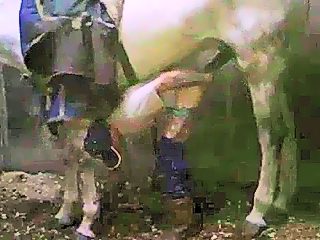 Guy fucks horse