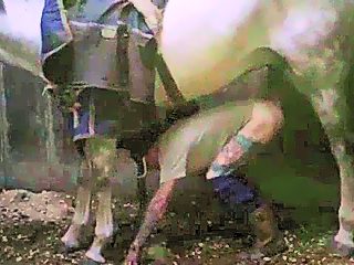 Guy fucks horse