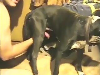 Gay jerks off dog dick