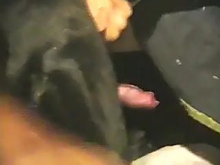 Gay jerks off dog dick