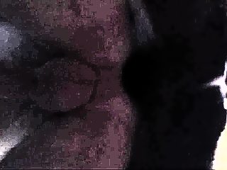 Gay bestiality fuck