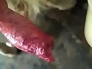 Dog cum compilation