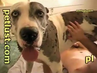 Dog fucking man