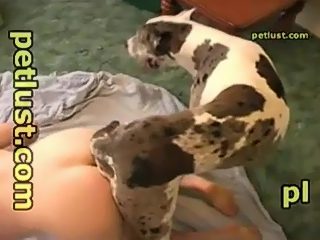 Dog fucking man