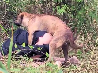 man gets fucked by dog